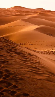 Фото Пустыни для iPhone: скачать бесплатно