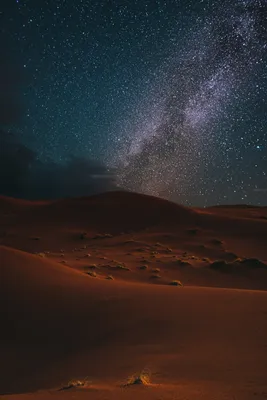 Фото Пустыни настенные: скачать бесплатно