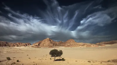 Пустыня: обои на телефон в jpg