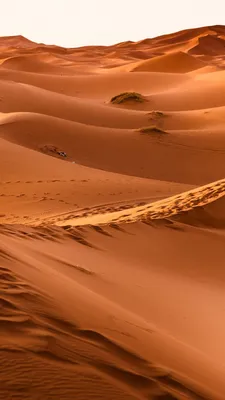 Пустыня: фоны для рабочего стола в формате png