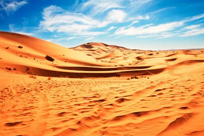 Пустыня: фото обои на телефон в jpg