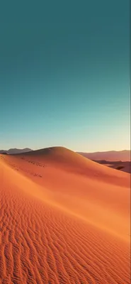 Фоны Пустыни для iPhone: скачать бесплатно