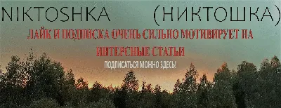 Великий и могучий тапок, а конретнее \"radio tapok\". | NIKTOSHKA (НИКТОШКА)  | Дзен