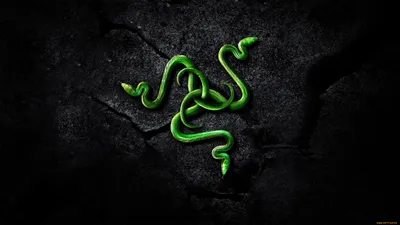 Обои Razer для Windows