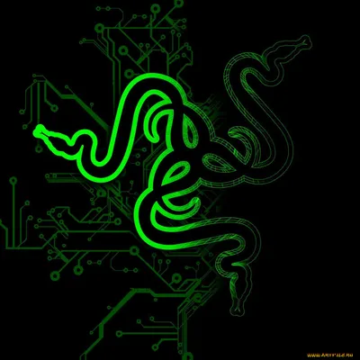 Razer: обои на рабочий стол в формате webp