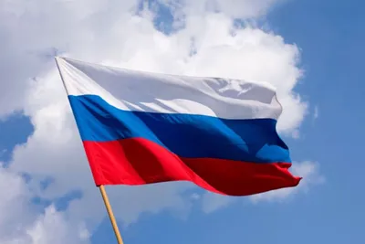 Российский флаг: обои на телефон и рабочий стол