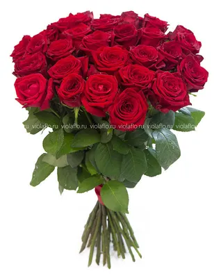 Фото с красными розами в формате WEBP для скачивания