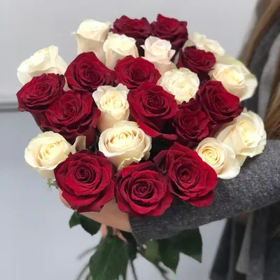 Стильные обои Розы красные для рабочего стола