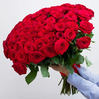 Фото с розами красного цвета на телефон в хорошем качестве