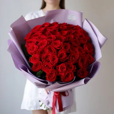 Впечатляющие обои Розы красные для использования на рабочем столе