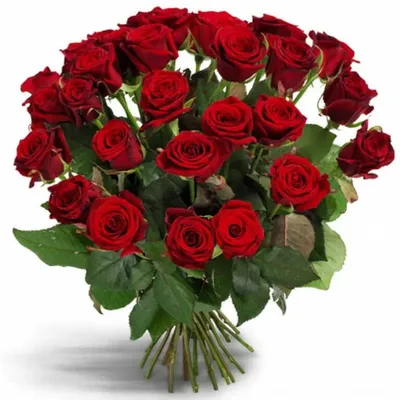 Фото с реалистичными розами красного цвета для дизайна