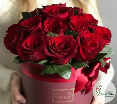 Фон Розы красные для создания красивых дизайнов
