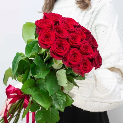 Привлекательные обои Розы красные для мобильных устройств