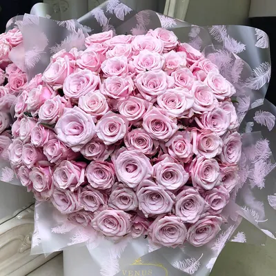 Розы розовые - красочные обои для телефона