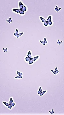Фон с бабочками для iPhone в хорошем качестве