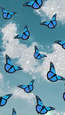 Фото С бабочками - элегантные обои для телефона
