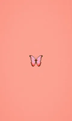 Фото с бабочками на телефон с изменяемым размером
