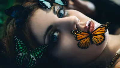 Фото С бабочками - модные обои для телефона