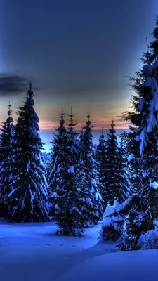 Самсунг зима: Красивые обои для iPhone, Android, Windows