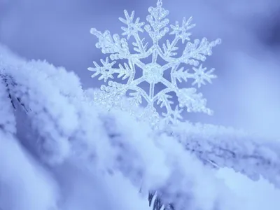 Самсунг зима: Бесплатные фоновые изображения для вашего устройства (jpg, png, webp)