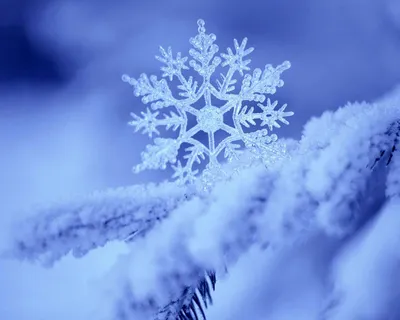 Фото Самсунг зима для скачивания на ваше устройство в разных форматах