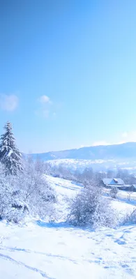 Самсунг зима: Бесплатные фоновые изображения для вашего устройства