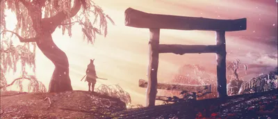 Windows: Секретные обои Sekiro в JPG