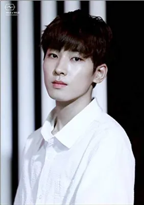 Wonwoo из Seventeen: Обои на телефон в формате WebP