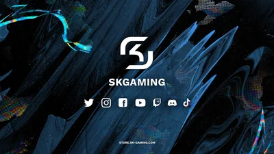 Sk gaming: Изображения в разрешении для мобильных устройств