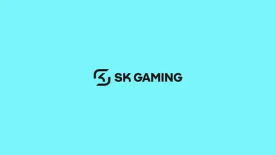 Sk gaming: Обои для iPhone и Android в формате JPG