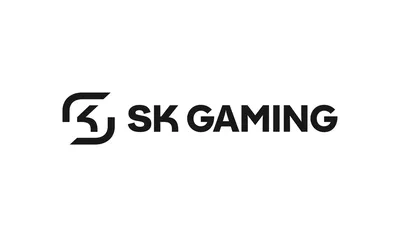 Sk gaming: Бесплатные обои на телефон в хорошем качестве