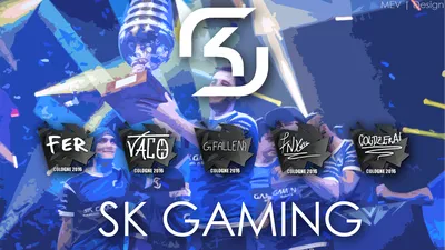 Sk gaming: Изображения для Windows в форматах WebP и JPEG