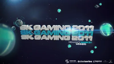 Sk gaming: Бесплатные обои на телефон в формате PNG