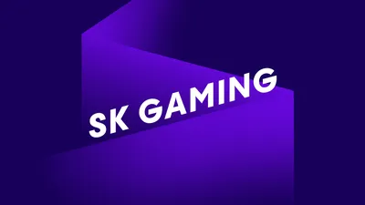 Sk gaming: Фон для рабочего стола и мобильного