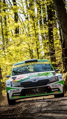 Skoda fabia rally