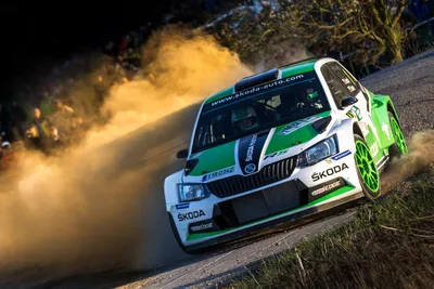 Skoda Fabia Rally: бесплатные обои для скачивания на телефон