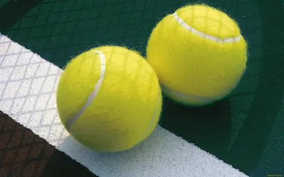 Теннис: скачать обои с теннисным мячом бесплатно