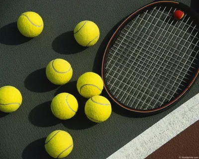 Общее: фото с теннисными мячами в jpg