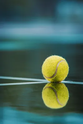 Теннис: скачать обои с теннисными ракетками бесплатно