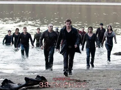 Бесплатно скачивай: Обои The Twilight Saga Eclipse в WebP