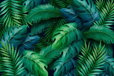 Тропические листья: фото в высоком разрешении