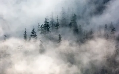 Ландшафтные обои с туманом: варианты скачивания в различных форматах (jpg, webp)