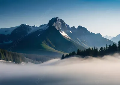 Фотография с туманом: обои высокого качества для скачивания (jpg, webp)