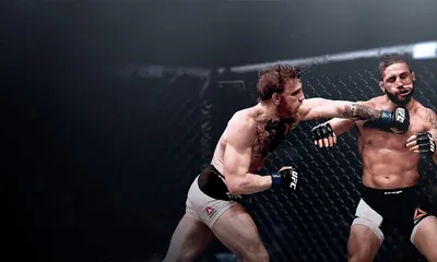 Обои с UFC бойцами: Выбери свой размер и формат изображения