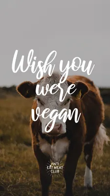 Обои Vegan в формате JPG: Скачай бесплатно на Windows