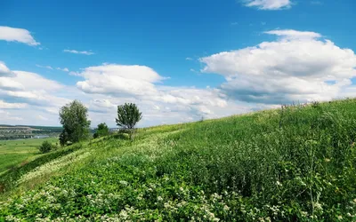 Фотографии Весна лето для экрана телефона