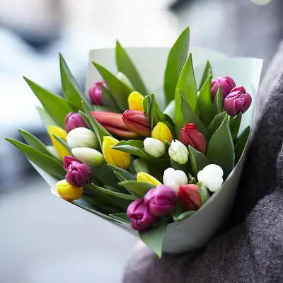 Красивые обои на рабочий стол Весна тюльпаны