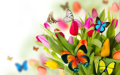 Обновите свой рабочий стол с помощью красивых обоев Весна тюльпаны