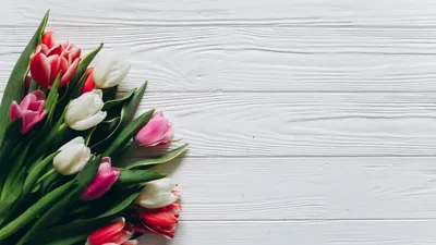 Скачать бесплатно яркие обои Весна тюльпаны в формате jpg