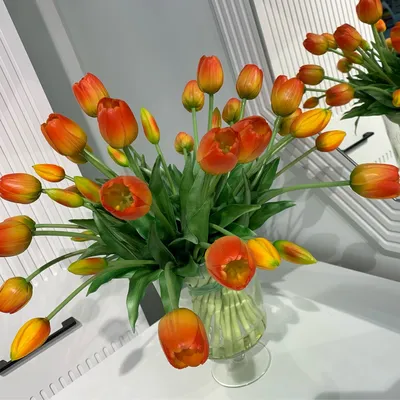 Обои на тему Весна тюльпаны для android телефона